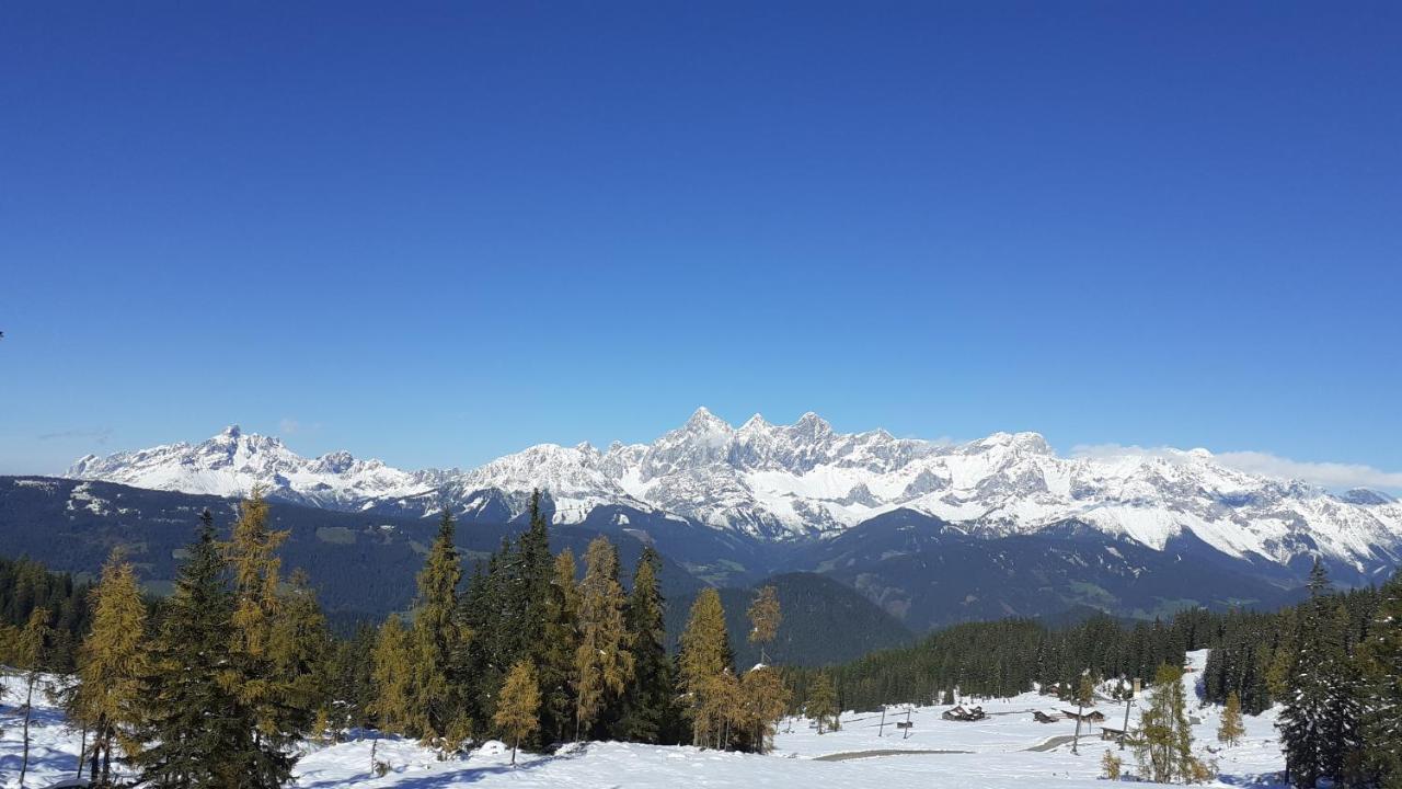 Himmlisch Urlauben In Pichl Apartment ชลัดมิง ภายนอก รูปภาพ